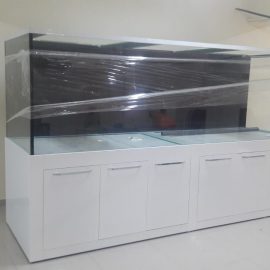 Mobilyalı Akvaryumlar (1)