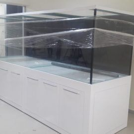 Mobilyalı Akvaryumlar (2)