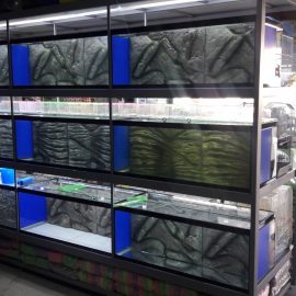 Petshop Üretimhane Setleri (1)