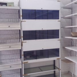 Petshop Üretimhane Setleri (2)