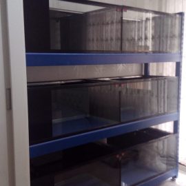 Petshop Üretimhane Setleri (3)